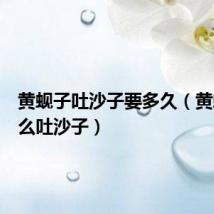 黄蚬子吐沙子要多久(黄蚬子怎么吐沙子)