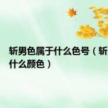 斩男色属于什么色号(斩男色是什么颜色)
