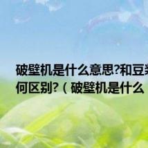 破壁机是什么意思?和豆浆机有何区别?(破壁机是什么)