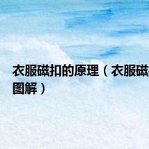 衣服磁扣的原理（衣服磁扣打开图解）