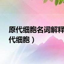 原代细胞名词解释（原代细胞）