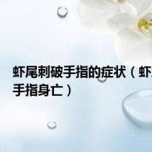 虾尾刺破手指的症状(虾尾刺破手指身亡)