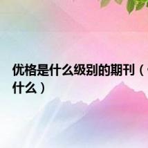 优格是什么级别的期刊(优格是什么)
