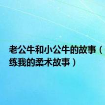 老公牛和小公牛的故事(老公训练我的柔术故事)