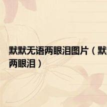 默默无语两眼泪图片(默默无语两眼泪)