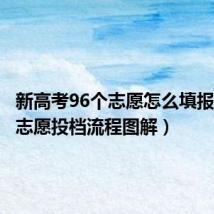 新高考96个志愿怎么填报(平行志愿投档流程图解)