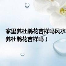 家里养杜鹃花吉祥吗风水(家里养杜鹃花吉祥吗)