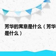 芳华的寓意是什么(芳华的含义是什么)