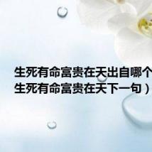 生死有命富贵在天出自哪个电影(生死有命富贵在天下一句)
