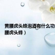 黄腰虎头蜂泡酒有什么功效(黄腰虎头蜂)