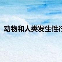 动物和人类发生性行为