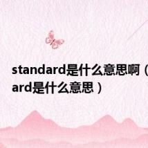 standard是什么意思啊(standard是什么意思)