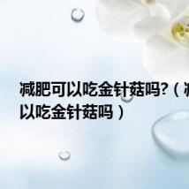 减肥可以吃金针菇吗?(减肥可以吃金针菇吗)