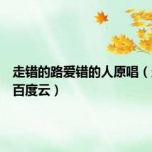 走错的路爱错的人原唱(走错路百度云)