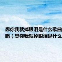 想你我就掉眼泪是什么歌曲男女对唱(想你我就掉眼泪是什么歌)