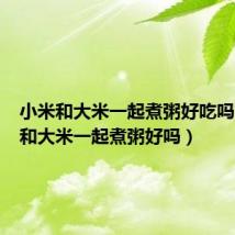 小米和大米一起煮粥好吃吗（小米和大米一起煮粥好吗）