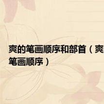 爽的笔画顺序和部首(爽的笔顺笔画顺序)