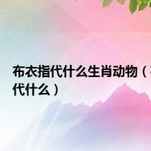 布衣指代什么生肖动物(布衣指代什么)