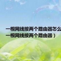一根网线接两个路由器怎么设置(一根网线接两个路由器)