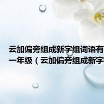 云加偏旁组成新字组词语有哪些呢一年级（云加偏旁组成新字组词）