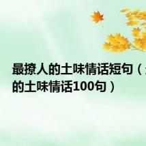 最撩人的土味情话短句(最撩人的土味情话100句)