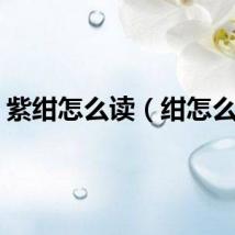 紫绀怎么读（绀怎么读）
