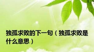 独孤求败的下一句（独孤求败是什么意思）