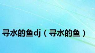 寻水的鱼dj（寻水的鱼）