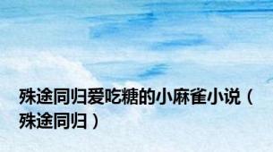 殊途同归爱吃糖的小麻雀小说（殊途同归）