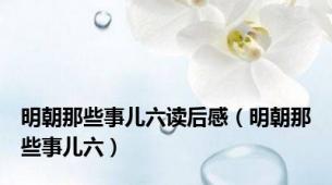 明朝那些事儿六读后感（明朝那些事儿六）