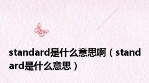 standard是什么意思啊（standard是什么意思）