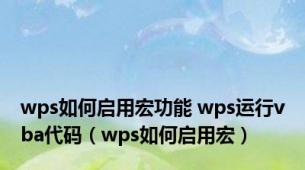 wps如何启用宏功能 wps运行vba代码（wps如何启用宏）