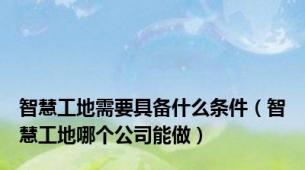 智慧工地需要具备什么条件（智慧工地哪个公司能做）