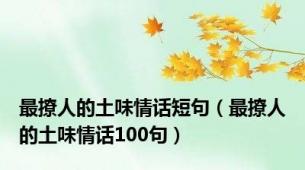 最撩人的土味情话短句（最撩人的土味情话100句）