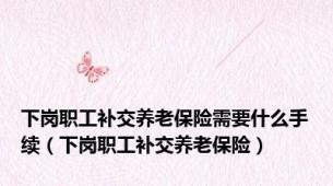 下岗职工补交养老保险需要什么手续（下岗职工补交养老保险）