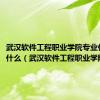 武汉软件工程职业学院专业代号是什么（武汉软件工程职业学院专业）