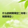 什么的树荫填空二年级（什么的树荫填空）