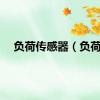 负荷传感器（负荷）