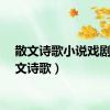 散文诗歌小说戏剧（散文诗歌）