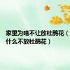 家里为啥不让放杜鹃花（家里为什么不放杜鹃花）