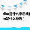 dim是什么意思线代（dim是什么意思）