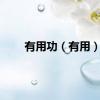 有用功（有用）