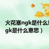 火花塞ngk是什么意思（gk是什么意思）