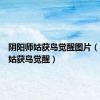 阴阳师姑获鸟觉醒图片（阴阳师姑获鸟觉醒）