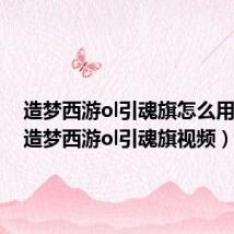 造梦西游ol引魂旗怎么用视频(造梦西游ol引魂旗视频)