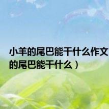 小羊的尾巴能干什么作文(小羊的尾巴能干什么)