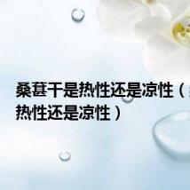 桑葚干是热性还是凉性(桑葚是热性还是凉性)