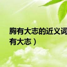 胸有大志的近义词（胸有大志）