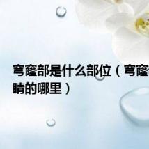 穹窿部是什么部位（穹窿部是眼睛的哪里）