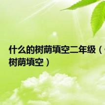 什么的树荫填空二年级(什么的树荫填空)